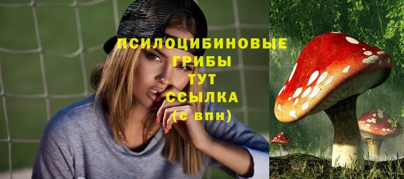 Псилоцибиновые грибы Magic Shrooms  ссылка на мегу сайт  Большой Камень 